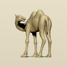 camel bactrian 3d print model in animals 3dexport animal arabia artiodactyla beast camelidae caravan desert east figurines goof herbivorous hump humpback livestock mammal miniatures mozolenic sand 3d print model - Mito3D