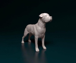 bengala Corso cão animal printready stl obj 3d print model - Mito3D