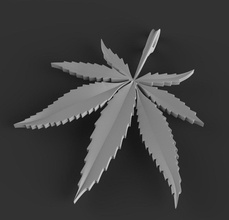 cannabis 3d print model - Mito3D