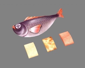 cartone animato pesce 3d modello in carne 3dexport griglia sashimi sushi cucina giapponese filetto morto frutti mare preparazione cibo lowpolymodel mano dipinto pentolame 3d print model - Mito3D