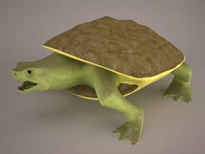 desenho animado tartaruga 2 gecko lagarto réptil lezard toon personagem fantasia criatura manipulado jacaré crocodilo rã chamaeleon 3d print model - Mito3D