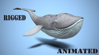 Karikatur Wal Fisch Wasser Natur Tierwelt Meer Ozean Orca Schwimmen animiert Flosse enorm schwimmen ozeanisch 3d print model - Mito3D