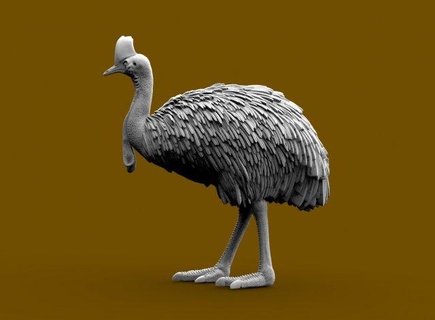 cassowary sculpture southern ostrich kiwi peacock two wattled bird print double australian emu statue ratite rhea 3d print model - Mito3D