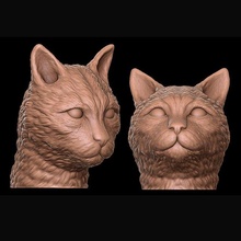 gatto testa animale gattino domestico carina Miao animali mammifero natura micio tabby miniature memi 3d print model - Mito3D