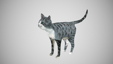 gato americano cabello corto 3d modelo in 3dexport gatito animal juego doméstico animación lowpoly desarrollo juegos realista animales mamífero 3d print model - Mito3D