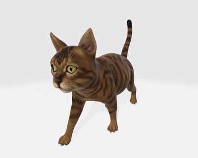 kedi hazır Yazdır hayvanlar hayvan memeli vahşi Evcil Hayvan Yavru doğa yavrusu heykel heykelcik hatıra mevcut şekil vermek kürk Şirin komik yaban hayatı ayaklı erkek 3d print model - Mito3D