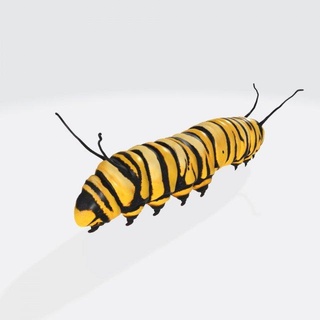 bruco pronto Stampa animali insetto bug cutworm natura invertebrato farfalla verme monarca artropodo struttura alto qualità animale bruchi insetti selvaggio creatura 3d print model - Mito3D