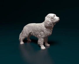 cavalier king charles spaniel 3d print model in figurines 3dexport dog animal printready stl obj 3d print model - Mito3D