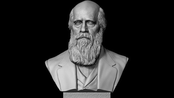 Charles Darwin Skulptur Skulpturen Statue Büste Evolution Geschichte Wissenschaftler Biologe Davinci einstein Biologie Carllinne Mendel Newton Kunst Vordruck 3d print model - Mito3D