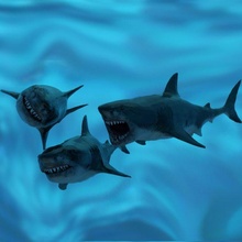 verifica my ótimo branco quebrar esculpir 3d modelo in tubarão 3dexport equipamento carnívoro peixe embaixo agua modelagem pobre juntas esqueleto ligar irrealista animação animações animais 3d print model - Mito3D