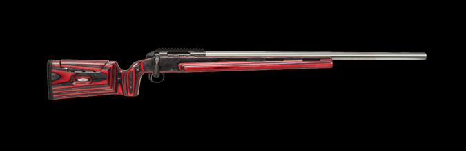 mejilla almohadillas 3d impresión modelo in 3dexport rifle disparar retroceso carrera 3d print model - Mito3D