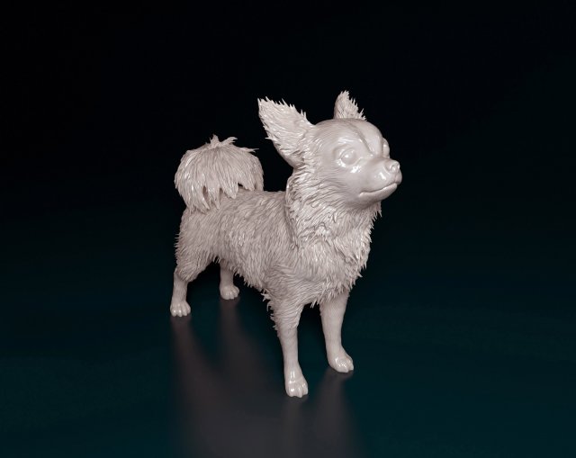 chihuahua long haired 3d yazdır model in figürinler 3dexport chihua köpek hayvan meksikalı stl obj yazdırmaya hazır yazdırılabilir 3D print model - Mito3D