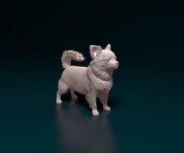 chihuahua peludo 3d impresión modelo in figuritas 3dexport chihua perro animal listo imprimir stl obj 3d print model - Mito3D