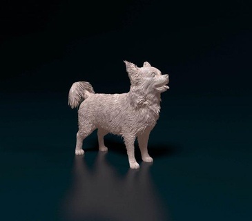chihuahua longo cabeludo 06 estatuetas cão animal impressão stl obj long haired 3d print model - Mito3D