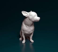 chihuahua sitzung 3d drucken modell figuren 3dexport hund tier haustiere stl obj gedruckt 3d print model - Mito3D