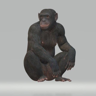 chimpansee ready print stl fbx obj animals chimpanzee chimp ape monkey gorilla king kong jungle forest miniatures figurines animal mammal africa safari sculpture monster 3dmodel printable 3d print model - Mito3D