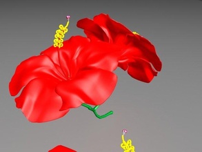 chinarose free 3d model in flowers 3dexport china rose flower garden 3d print model - Mito3D
