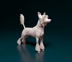 chino crestado perro animal listo imprimir stl obj 3d print model - Mito3D