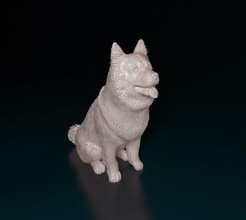 chow-chow sitting chow chowchow dog animal printready stl obj 3d print model - Mito3D