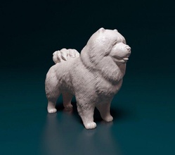chow 3d stampa modello in figurine 3dexport rancio cane animale printready stl obj 3d print model - Mito3D