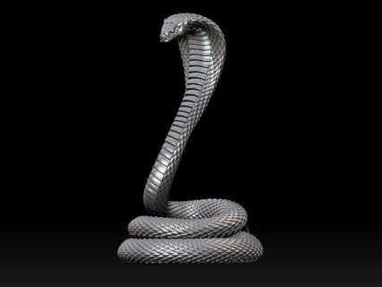 cobra serpent sculpture animal impression vipère art 3d print model - Mito3D