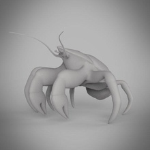 noix coco Crabe anatomie animal base modèle personnage griffe détaillé Homard océan topologie 3d print model - Mito3D
