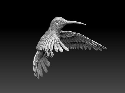 colibri uğultu kuş 3d Yazdır model figürinler gaga tüyler uçuş kanatlar Sanat heykel sinek kuşu beyaz boğaz heykeller 3d print model - Mito3D