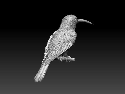 colibri zumbador pájaro 3d impresión modelo escultura pico plumas vuelo alas Arte esculturas miniaturas figuritas colibrí blanco garganta 3d print model - Mito3D