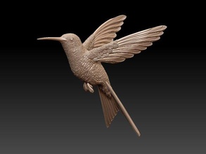 colibri humming bird 3d print model in sculpture 3dexport birds sparrow swallow tit art beak feathers flight sky wind wings sculptures 3d print model - Mito3D