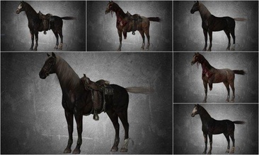 collection animal - horse b01-b06 3dmodel cg game 3d 3dexport 3dsmax fbx obj stl gear pack group 3d print model - Mito3D