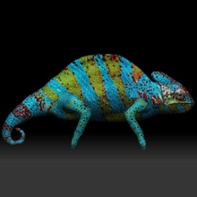 color chameleon 3d model in amphibians 3dexport green 3d print model - Mito3D