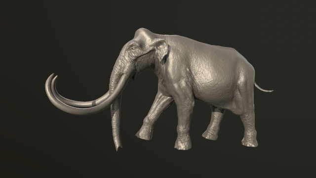 colombien mammouth 3d impression modèle in animaux 3dexport 3D print model - Mito3D