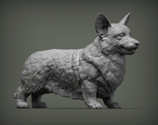 corgi 3d stampa modello in animali 3dexport cane natura mammifero animale domestico scultura statuetta souvenir scolpire arte sculture statua stampabile 3D print model - Mito3D