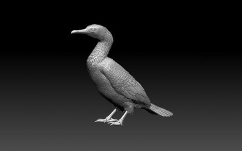 cormorant bird print statue sculpture cormorant gull seagull