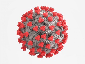 corona virus 3d print model in biology 3dexport coronavirus covid-19 19 covid 3d print model - Mito3D