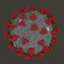 coronavirus 2019-ncov 3d model in 3dexport sars-cov corona virus medicine cov medical bacteria human influenza microscopic nano science sars cell 3d print model - Mito3D