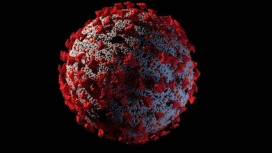 coronavirus corona virus covid 19 bacteria medical doctor pandemic flue poly game ready 3d print model - Mito3D