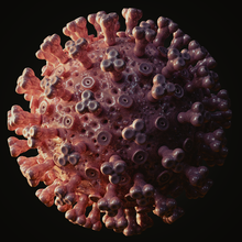 coronavirus covid-19 anotomia protexion de la enfermedad pandemia enfermo virus 3d print model - Mito3D
