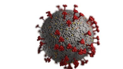 coronavirus covid 19 couronne virus haute c4d décalage rouge 3d print model - Mito3D