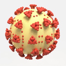 coronavirus sars cov 2 virione covid 19 ncov 2019 stampabile 3d stampa modello in biologia 3dexport virus pandemia print scale model scienza microbiologia 3d print model - Mito3D