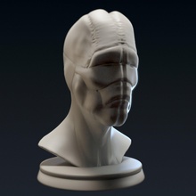 criatura busto - 3d imprimíveis livre do monstro a cabeça humanóide o personagem upperbody zbrush4r8 zbrush 3dprint printable obj ztl stl O 3dsmax 3d print model - Mito3D