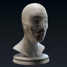 creature bust e - 3d printable free print model in monsters & creatures 3dexport monster head humanoid character upperbody zbrush4r8 zbrush 3dprint obj ztl stl 3dsmax 3d print model - Mito3D