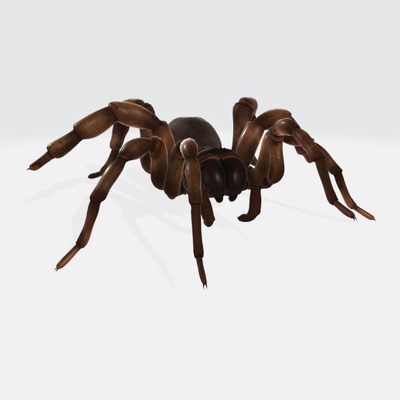 siniestro araña listo to impresión 3d modelo in escultura 3dexport caminando ataque horror arácnido animales insecto fauna silvestre criatura invertebrado miedo misterioso depredador escalofriante monstruo veneno colmillo mal ciencias 3d print model - Mito3D