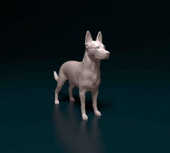 cross breed dog 3d print model in figurines 3dexport animal printable stl obj figurine pet shepherd podengo 3d print model - Mito3D