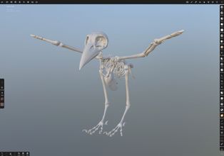 corvo 3d modello in uccello 3dexport scheletro 3d print model - Mito3D