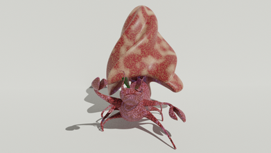 krebstiere frei 3d modell krabbe 3dexport crustaceo schnecke schale hummer tier kreatur concha criatura 3d print model - Mito3D