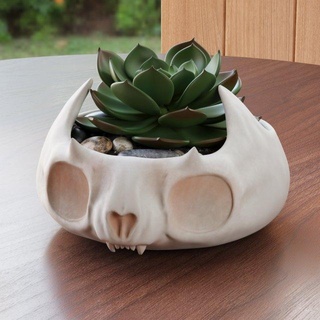 cute skull pot plate decor cat vase plant succulent art interior funny animal animalskull flowerpot bowl cup fang kitten bone 3d print model - Mito3D