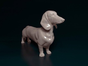 bassotto 3d stampa modello in figurine 3dexport cane animale printready stl obj 3d print model - Mito3D