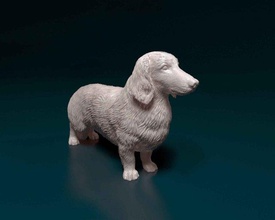 bassotto long haired 3d stampa modello in figurine 3dexport cane animale printready stl obj stampabile 3d print model - Mito3D