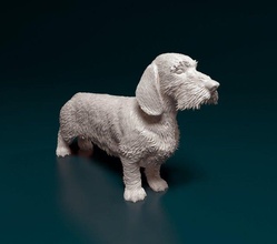 bassotto wire haired 3d stampa modello in figurine 3dexport cane animale stampabile printready stl obj filo 3d print model - Mito3D
